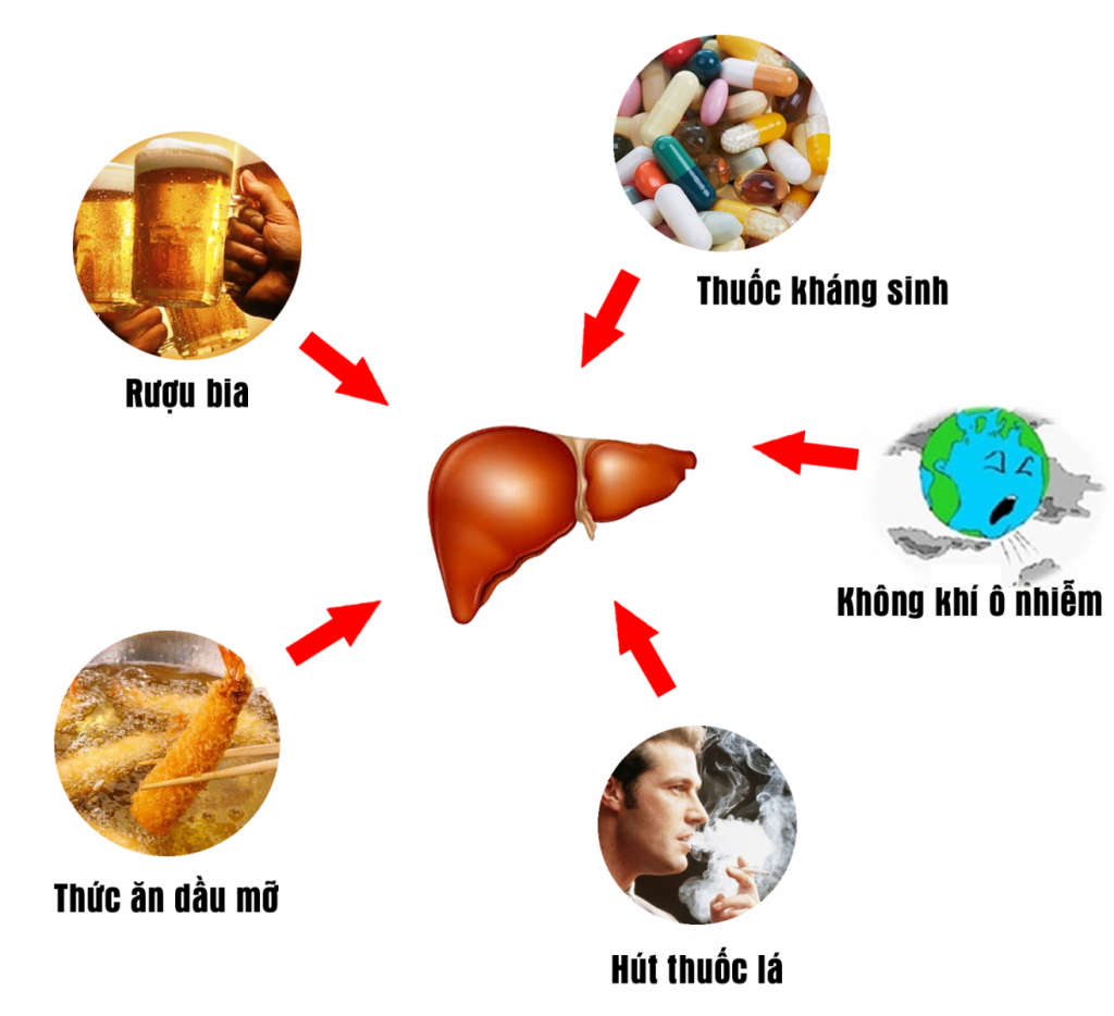 các yếu tố hại gan 