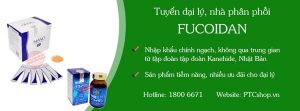 banner-fucoidan_ad6027ff97da4d41963cd0bcf7c3ef43_grande