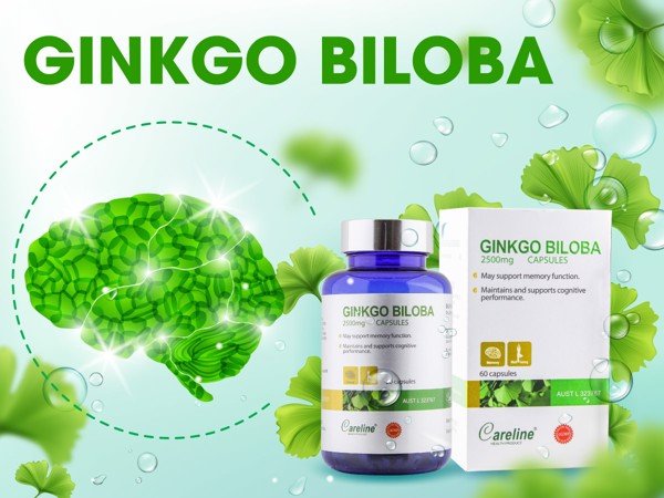 Ginkgo Biloba