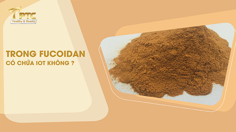 trong fucoidan có chứa iot không
