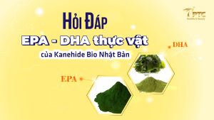 EPA - DHA thực vật