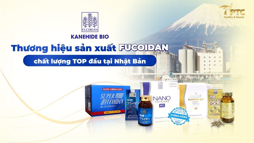 Bổ sung fucoidan - Giúp tăng cường miễn dịch, hỗ trợ điều trị ung thư